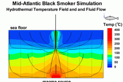 2D Magma Flow