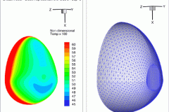 tecplot_3d_breast_simulatio