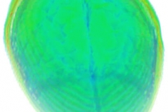 tecplot_3d_concatenated_mri