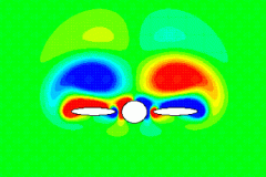 tecplot_animation_insect
