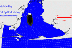 tecplot_animation_oil_spill