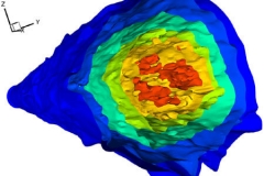 tecplot_art_flower
