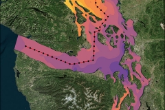 Puget Sound Flow