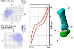 tecplot_layout_thumb_joint