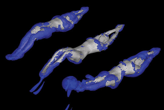 Vorticity Around Swimmer's Body