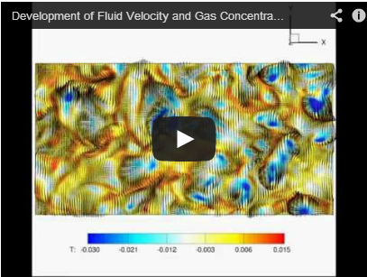 Development of Fluid Velocity and Gas Concentration Mapping